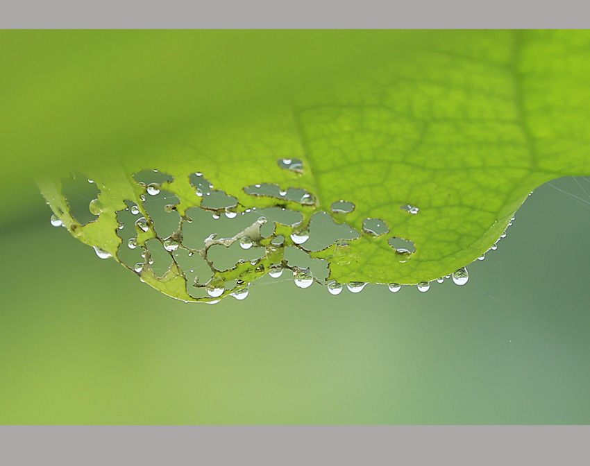 _D4A0124 ����.jpg