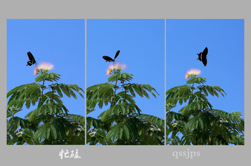 æµ ����.jpg