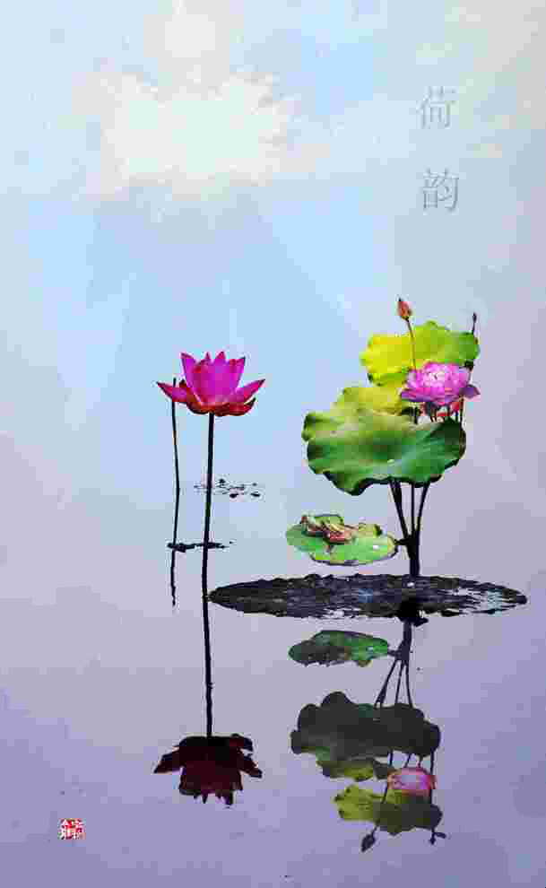 ����֮��