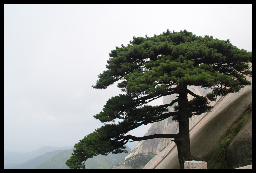 IMG_0345_���� (2).jpg