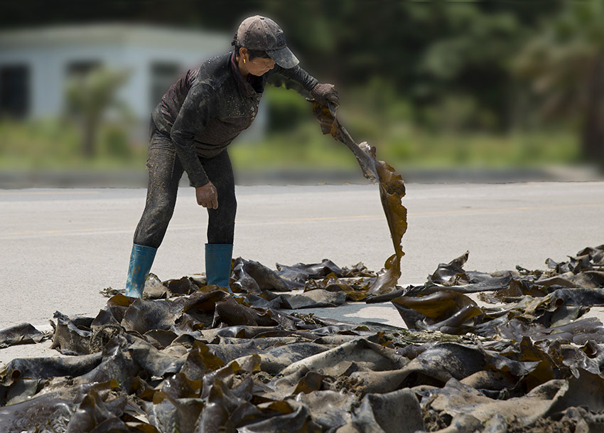 image1432 ����.jpg