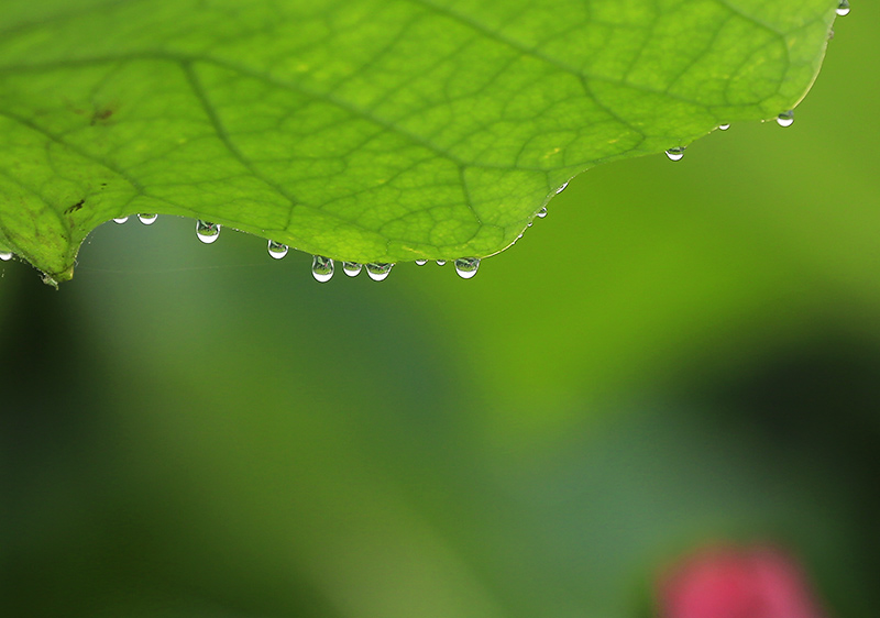 _D4A0161 ����.jpg