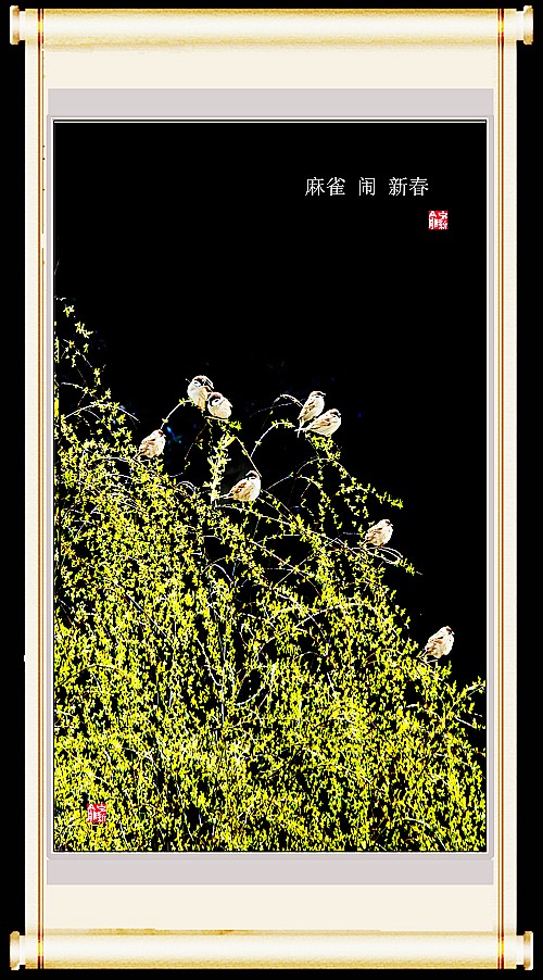 ���� ���� ���� 214905dks22sbjz2kw2sxk (1)_conew1.jpg