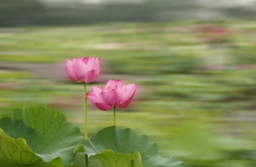 _D4A9407 ����.jpg