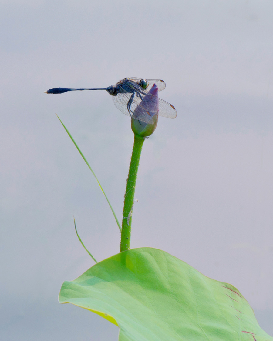 �Ź��� (2).JPG