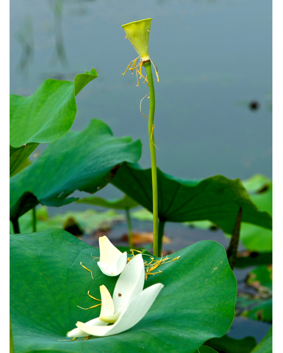 �Ź��� (3).JPG