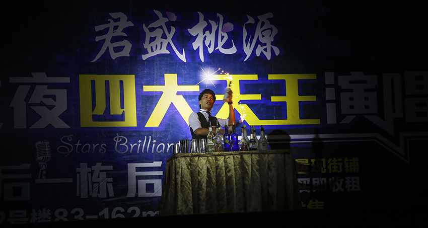 _D4A1009 ����.jpg