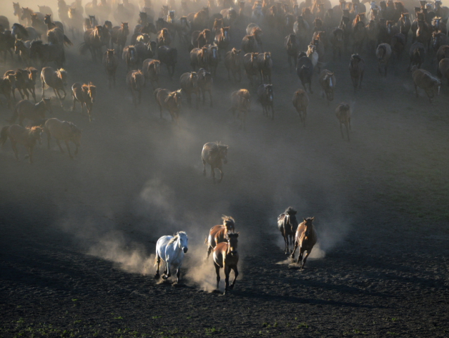 ���Ƚ� �������� ������1.JPG