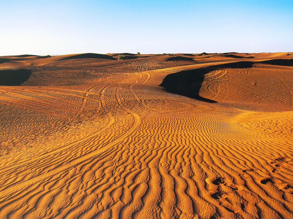 �����١��� �ޡ�.jpg