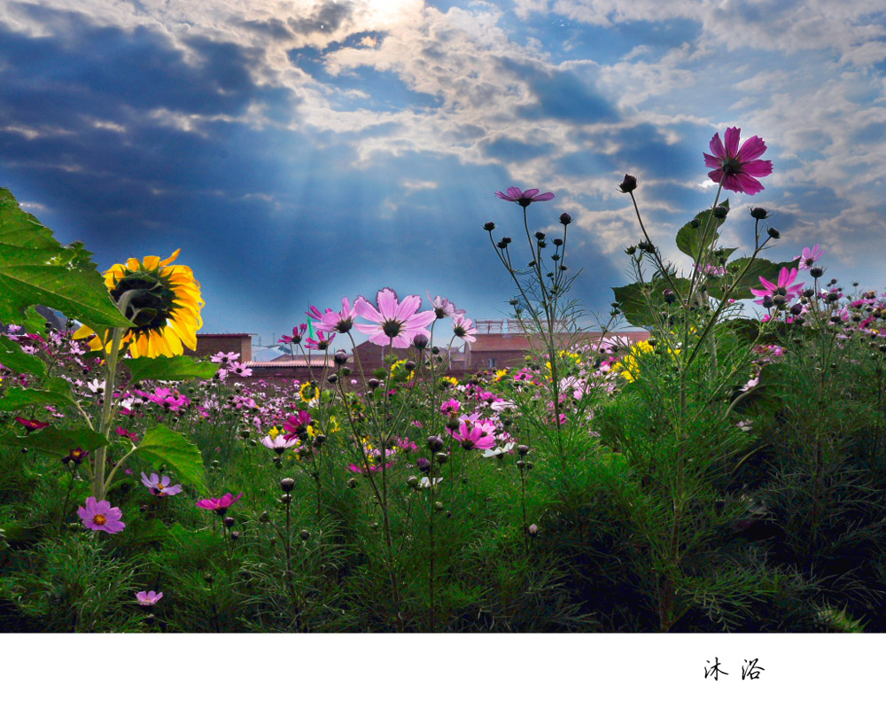 �Ź��� ���� ԡ��.JPG