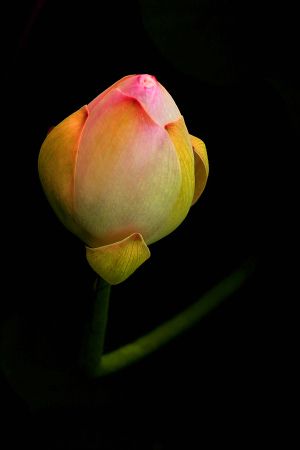 IMG_0216_���� (2).jpg