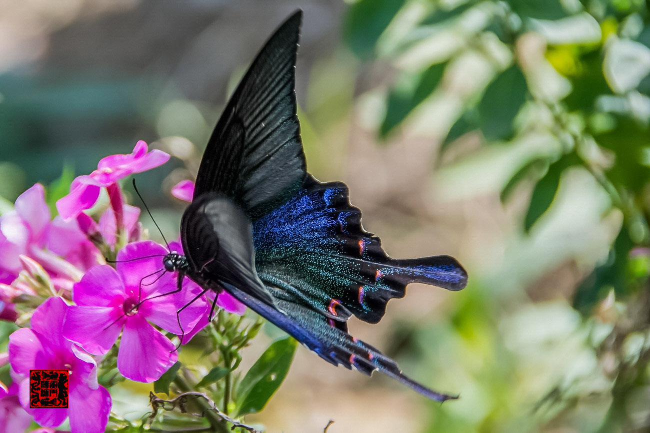 ���� - DSC_6783_������С.jpg