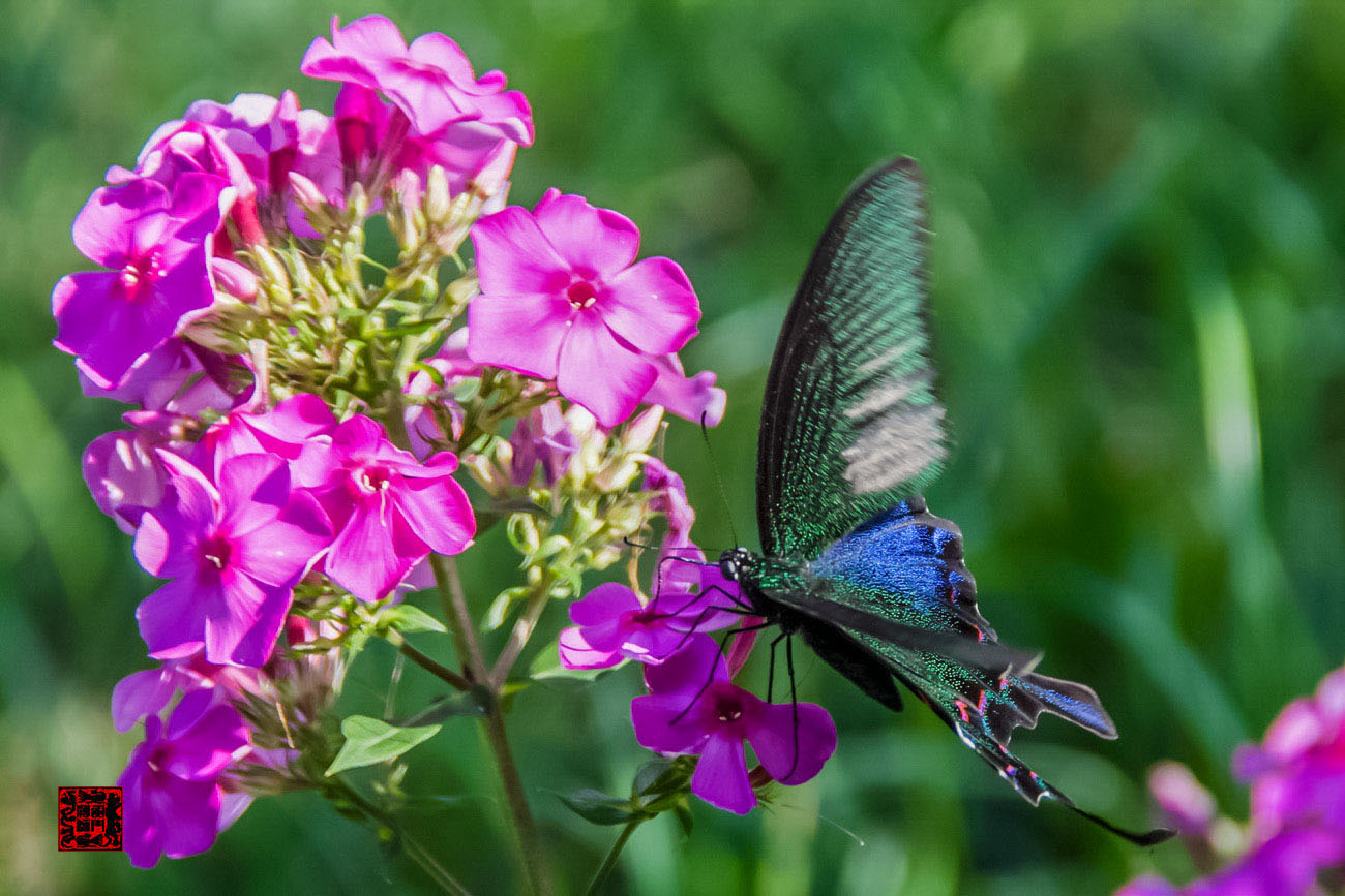 ���� - DSC_6909_������С.jpg