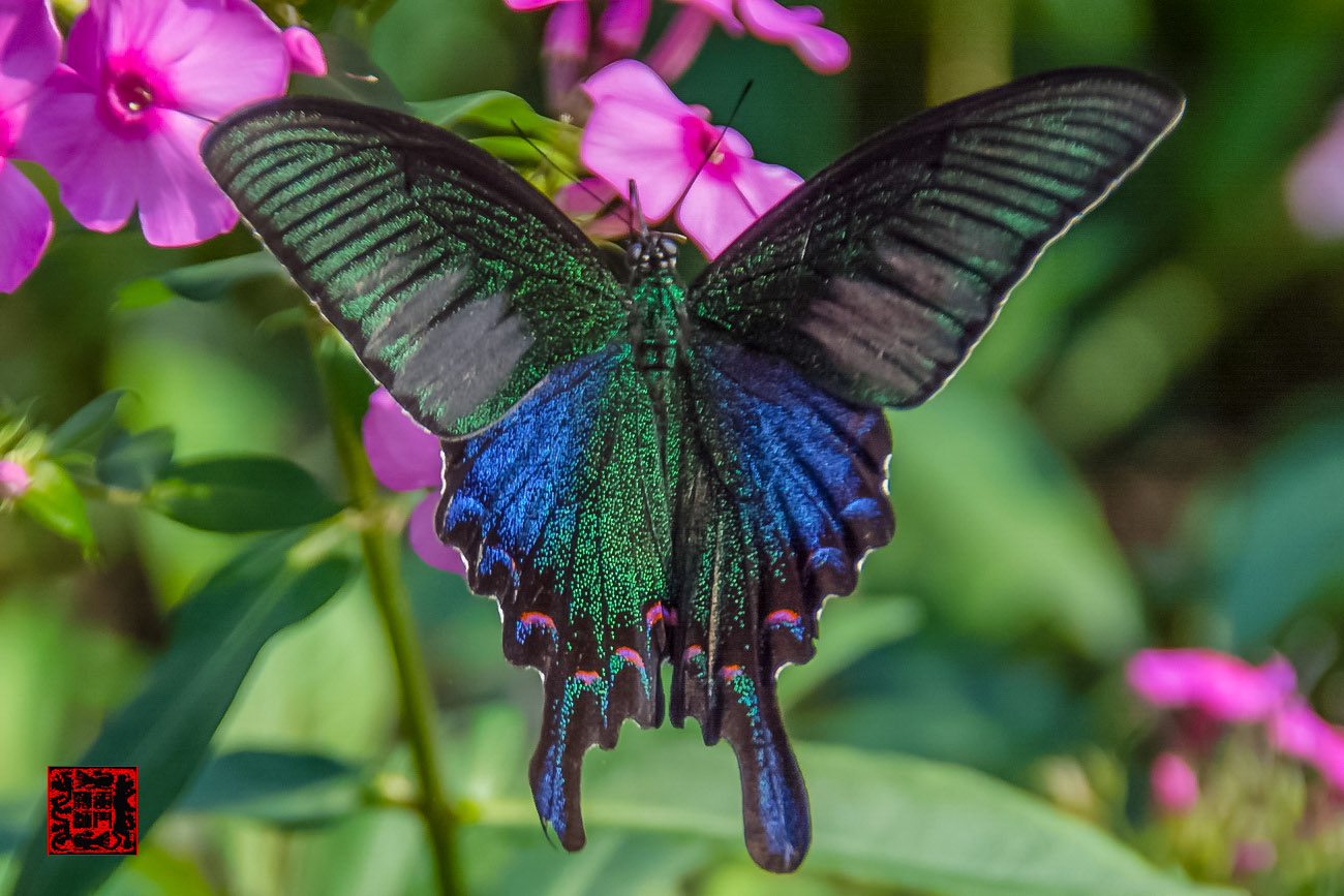 ���� - DSC_6928_������С.jpg