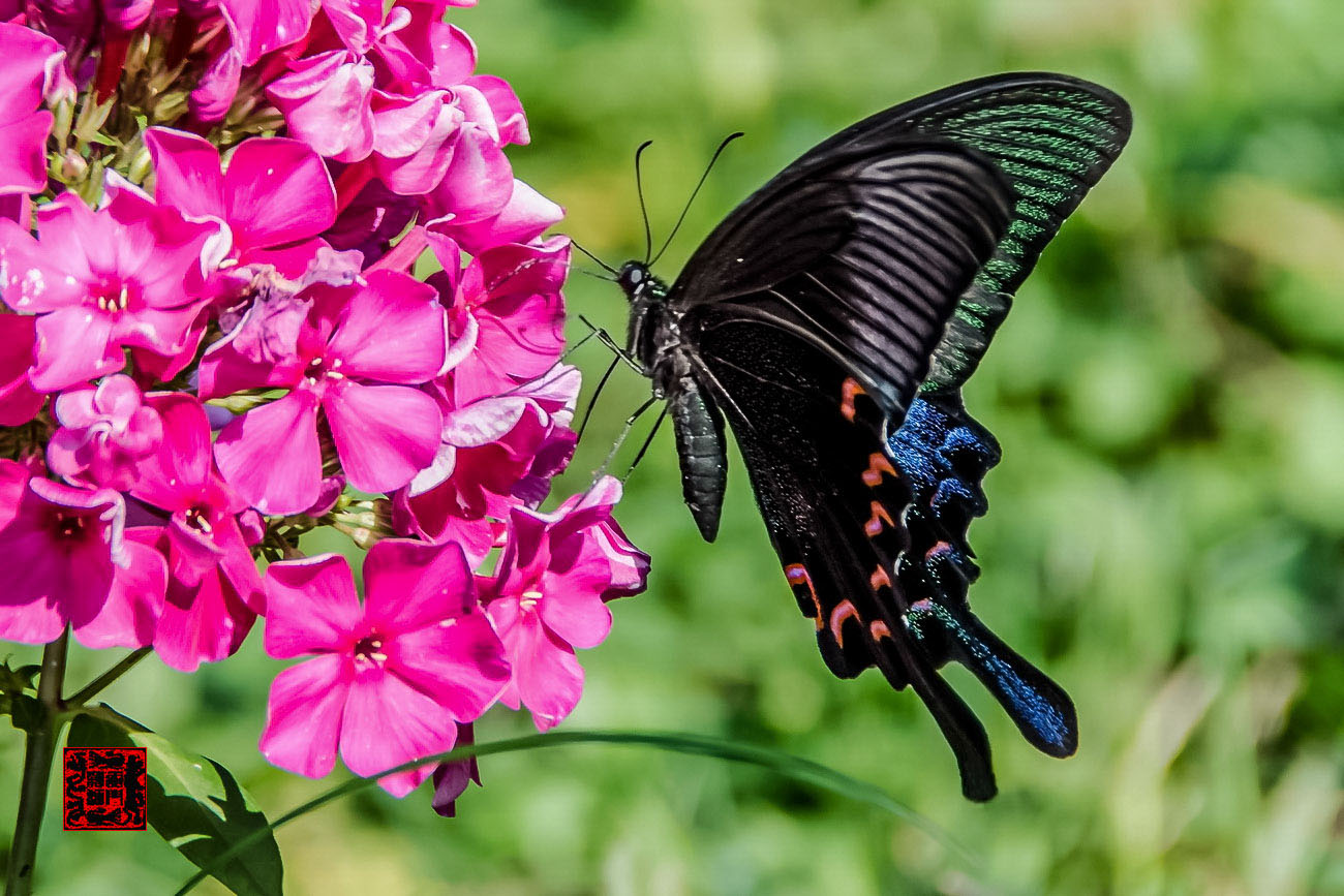 ���� - DSC_6723_������С.jpg