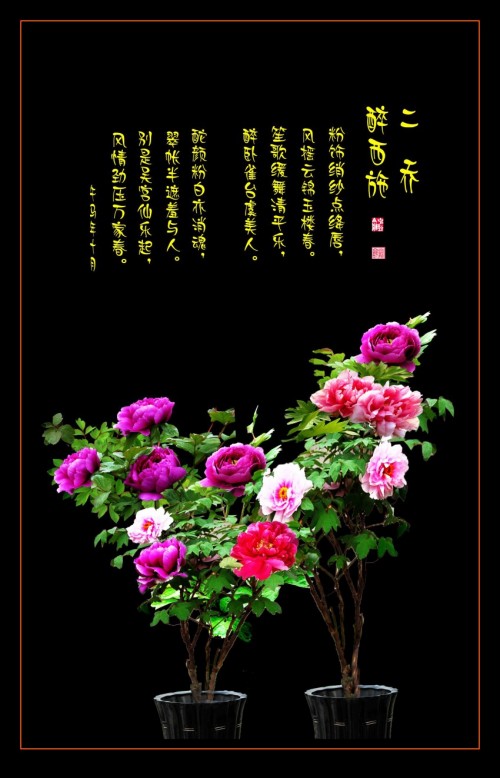 ���� 214653cbrp7mq7ppuu3fqf_conew3.jpg