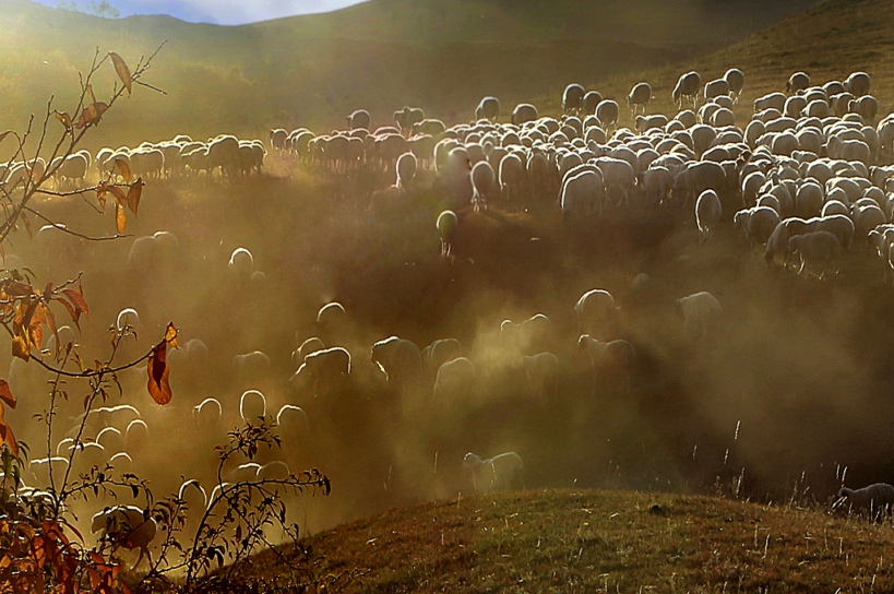 ���� ���� ���� ���� _MG_4016.JPG