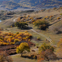 _DSC0002 _����1.jpg