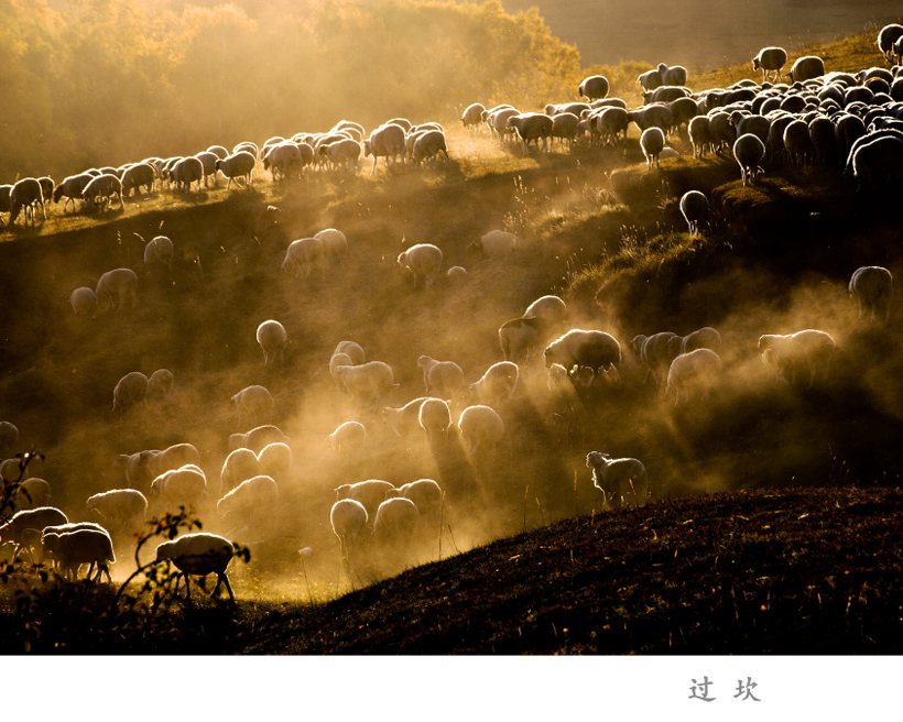 ���Ƚ� ��С�� (2).JPG