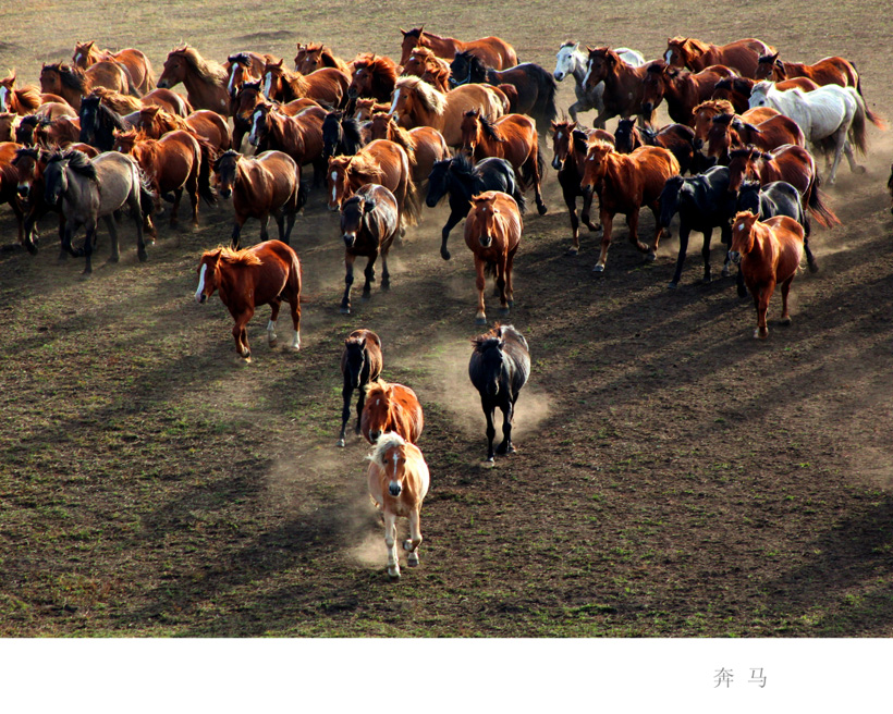 ���Ƚ� ������.JPG