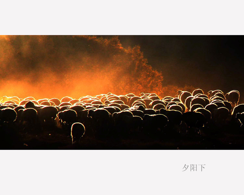 ���Ƚ� ��Ӣ (9).JPG