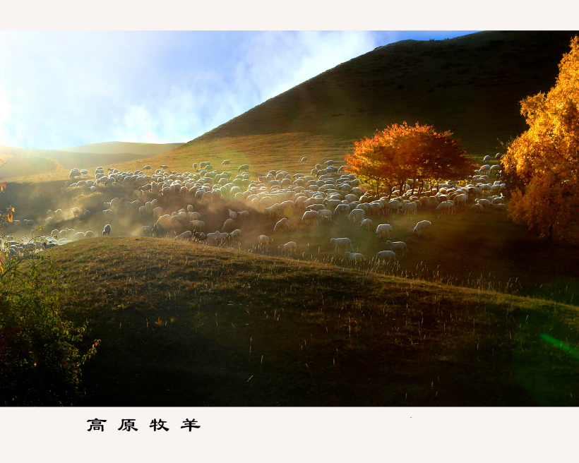 ���Ƚ� Ԭ�κ� (4).JPG