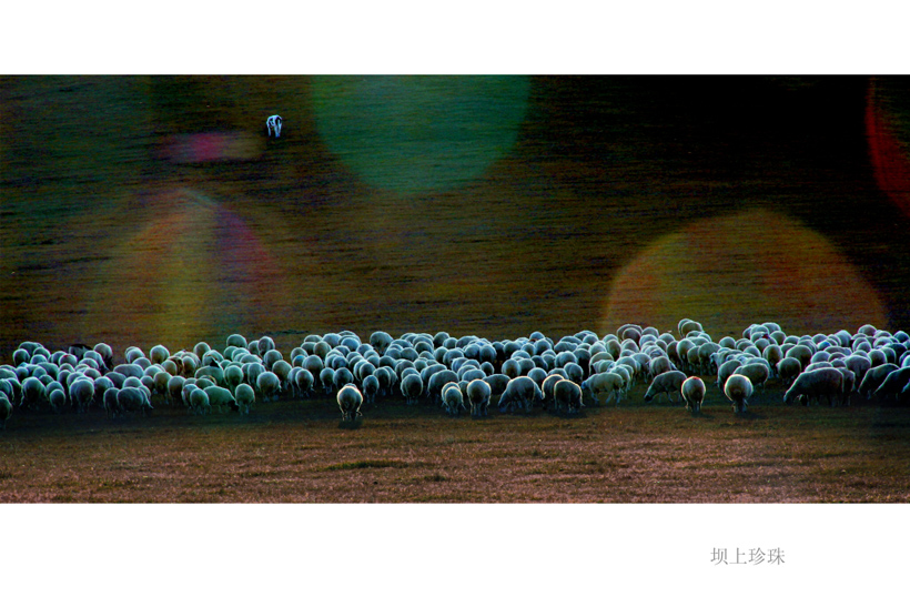 ���㽱 [������] (8).JPG