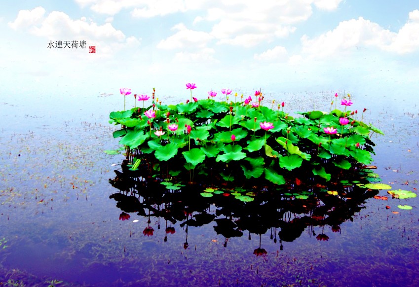 ˮ�������