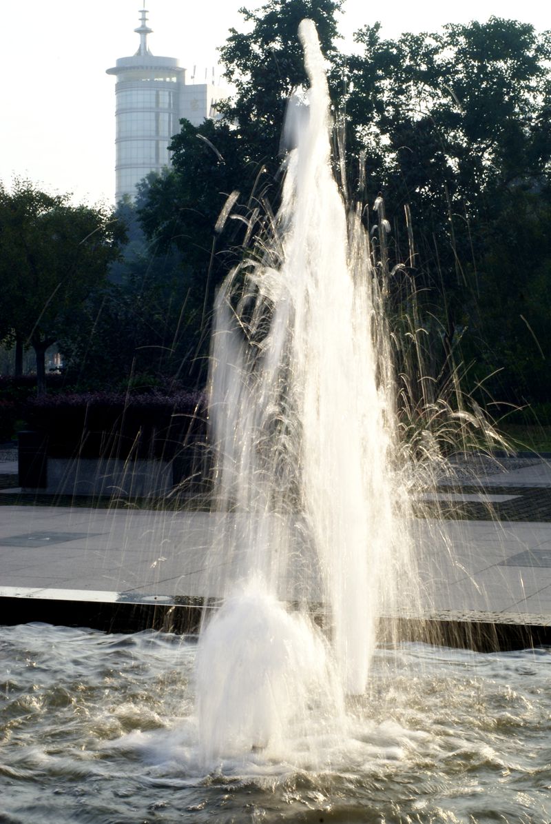 ���� DSC09031.JPG