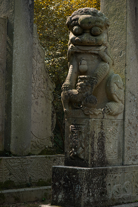 һ���غ�ֻΪ�� 