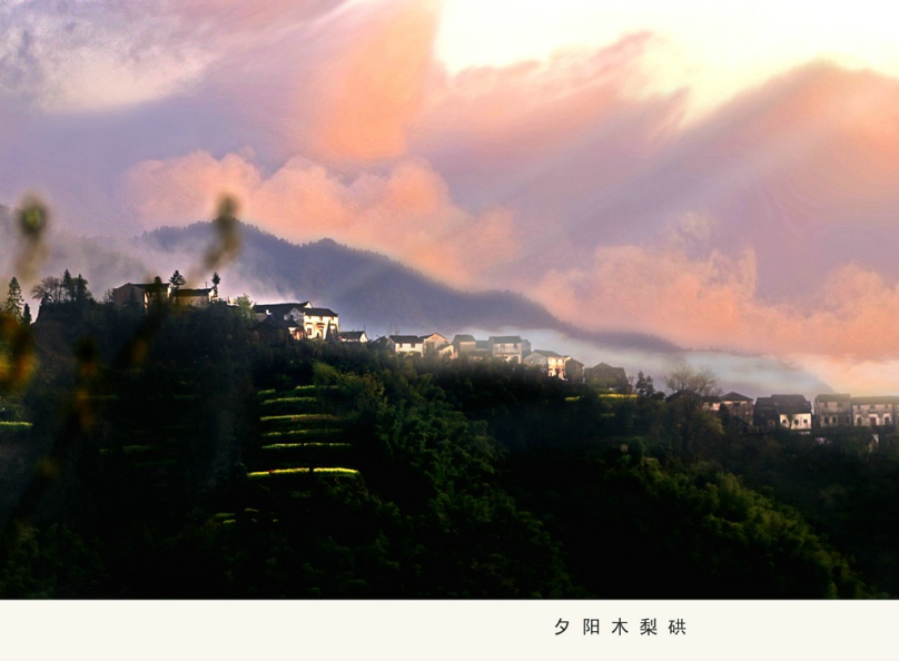 ���� ����ľ��{.JPG