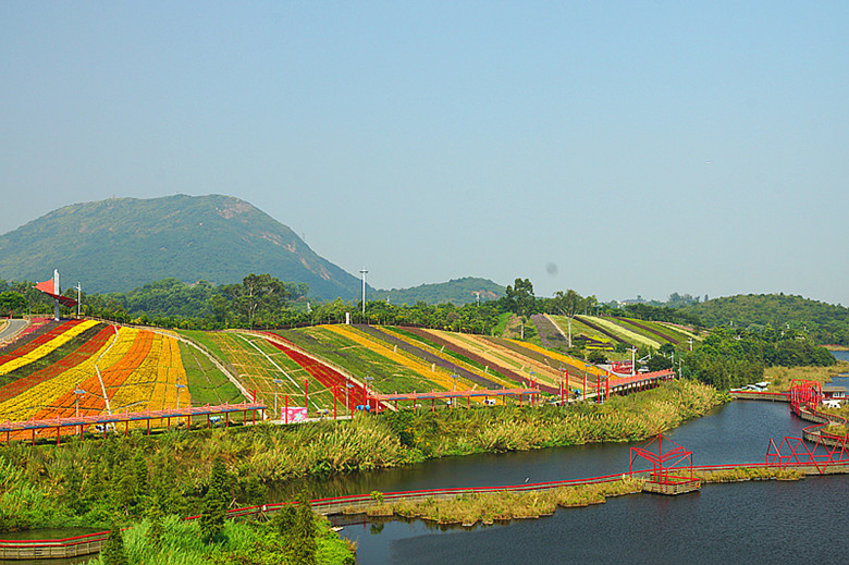 DSC04530_���� - ����.jpg