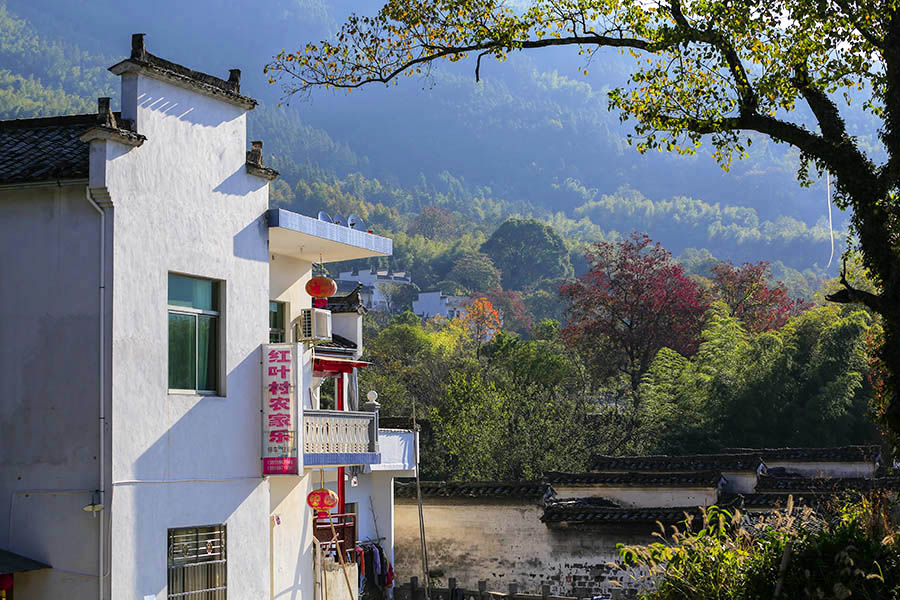 _D4A3725 ����.jpg