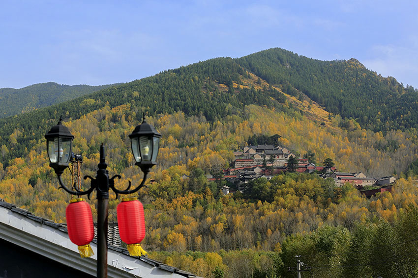 _D4A2169 ����.jpg