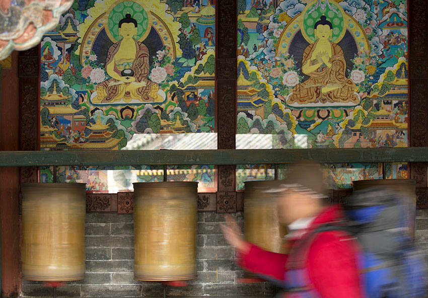 _D4A2204 ����.jpg