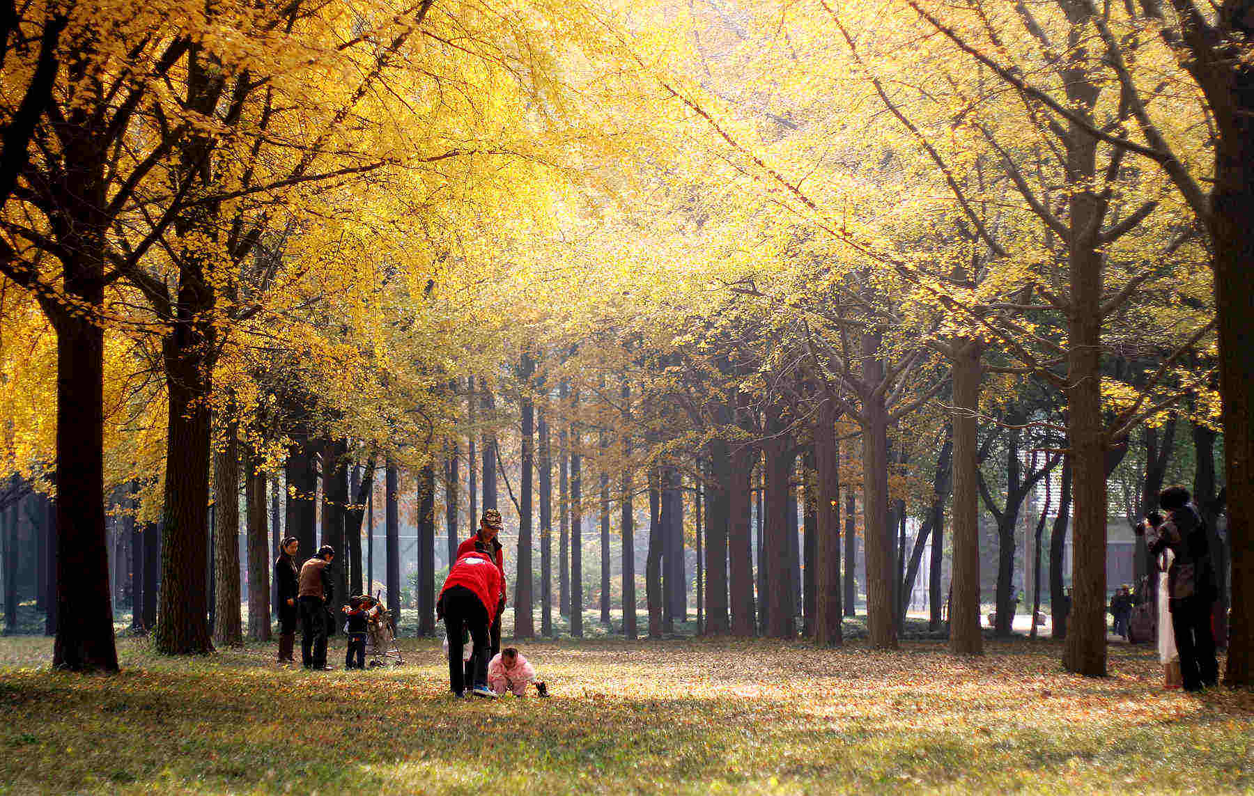 IMG_0149_���� (2).jpg