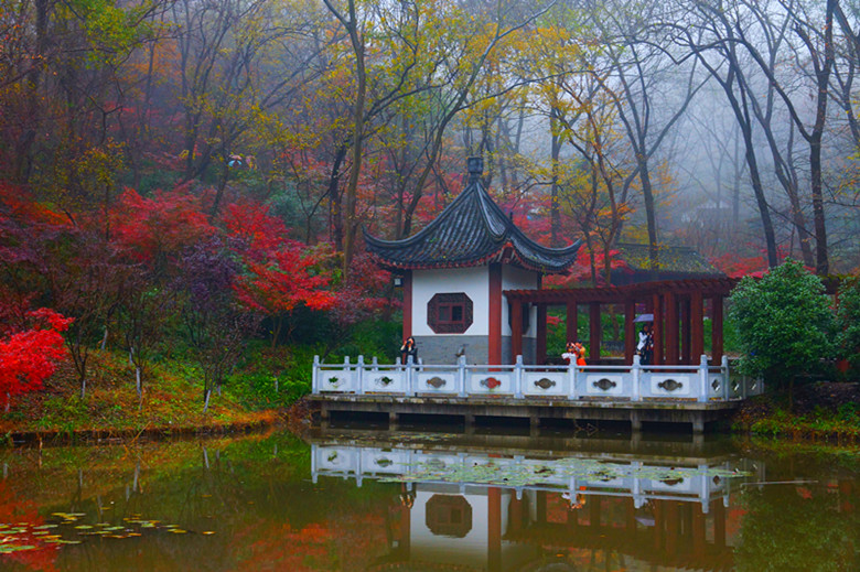 DSC06543_���� - ����.jpg