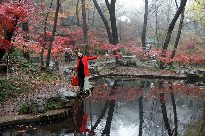 DSC06560_���� - ����.jpg