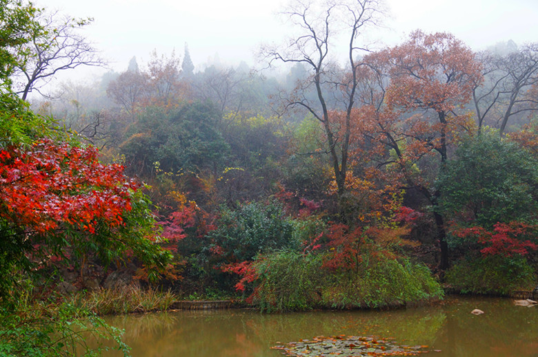 DSC06521_���� - ����.jpg