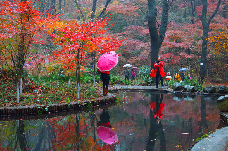 DSC06555_���� - ����.jpg