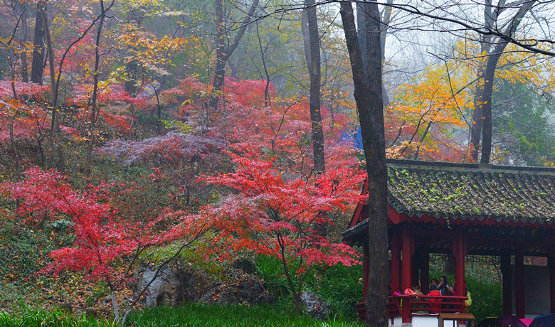 DSC06547_���� - ����.jpg