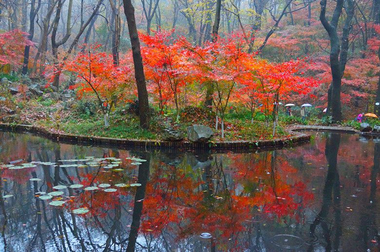 DSC06562_���� - ����.jpg