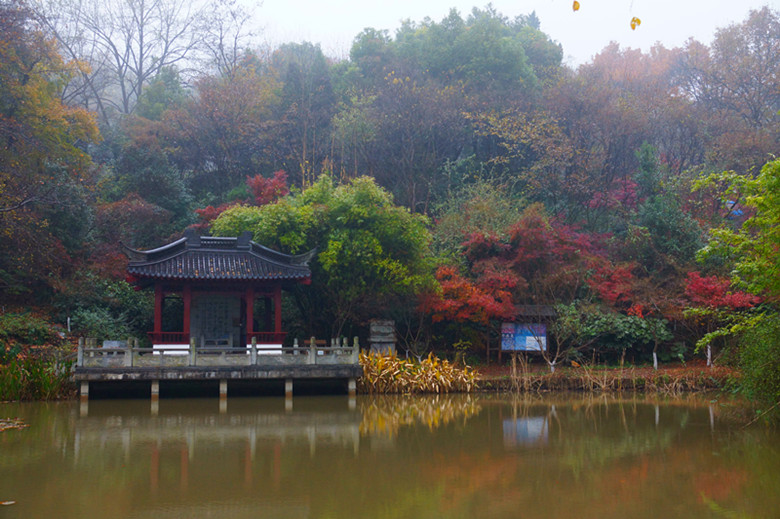 DSC06523_���� - ����.jpg