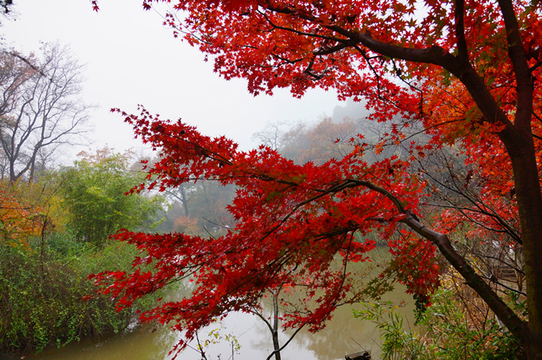 DSC06539_���� - ����.jpg