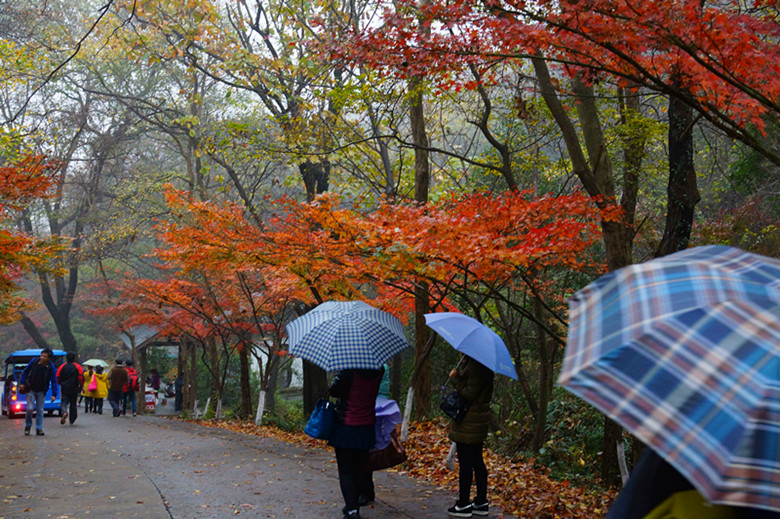 DSC06509_���� - ����.jpg