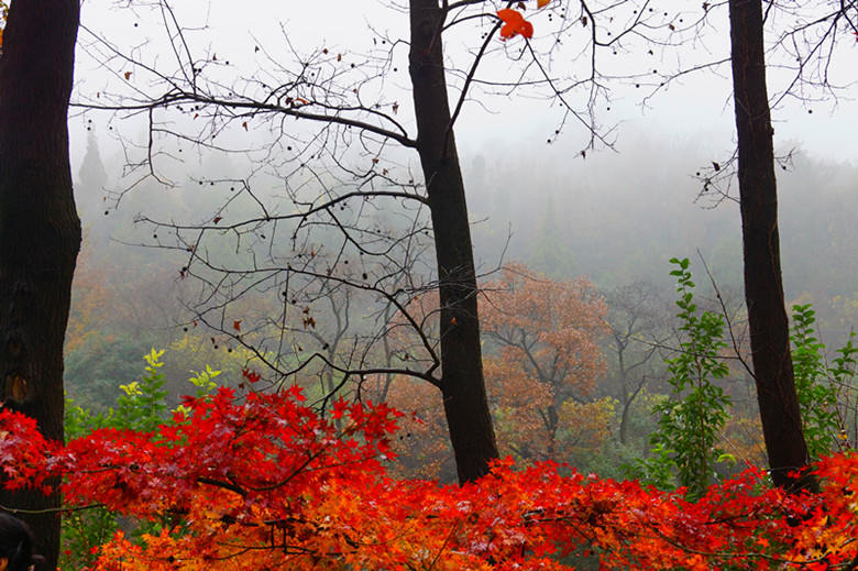 DSC06531_���� - ����.jpg