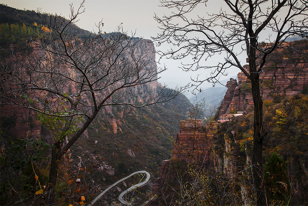 �޽�կ����