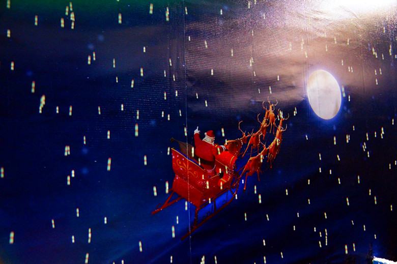 DSC06603_���� - ����.jpg