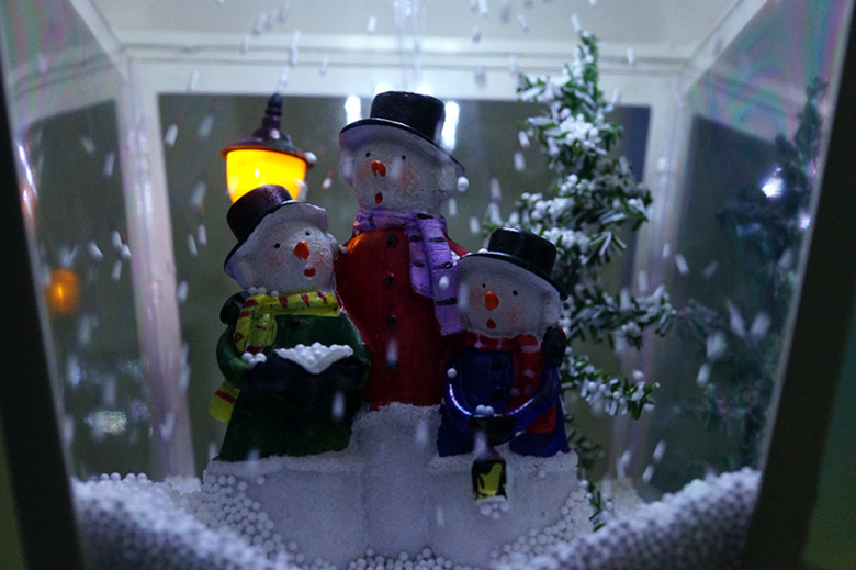 DSC06594_���� - ����.jpg