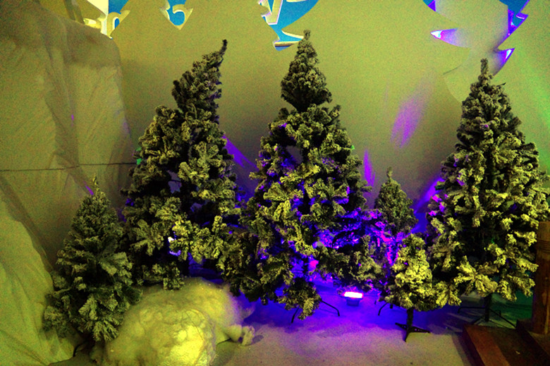 DSC06595_���� - ����.jpg